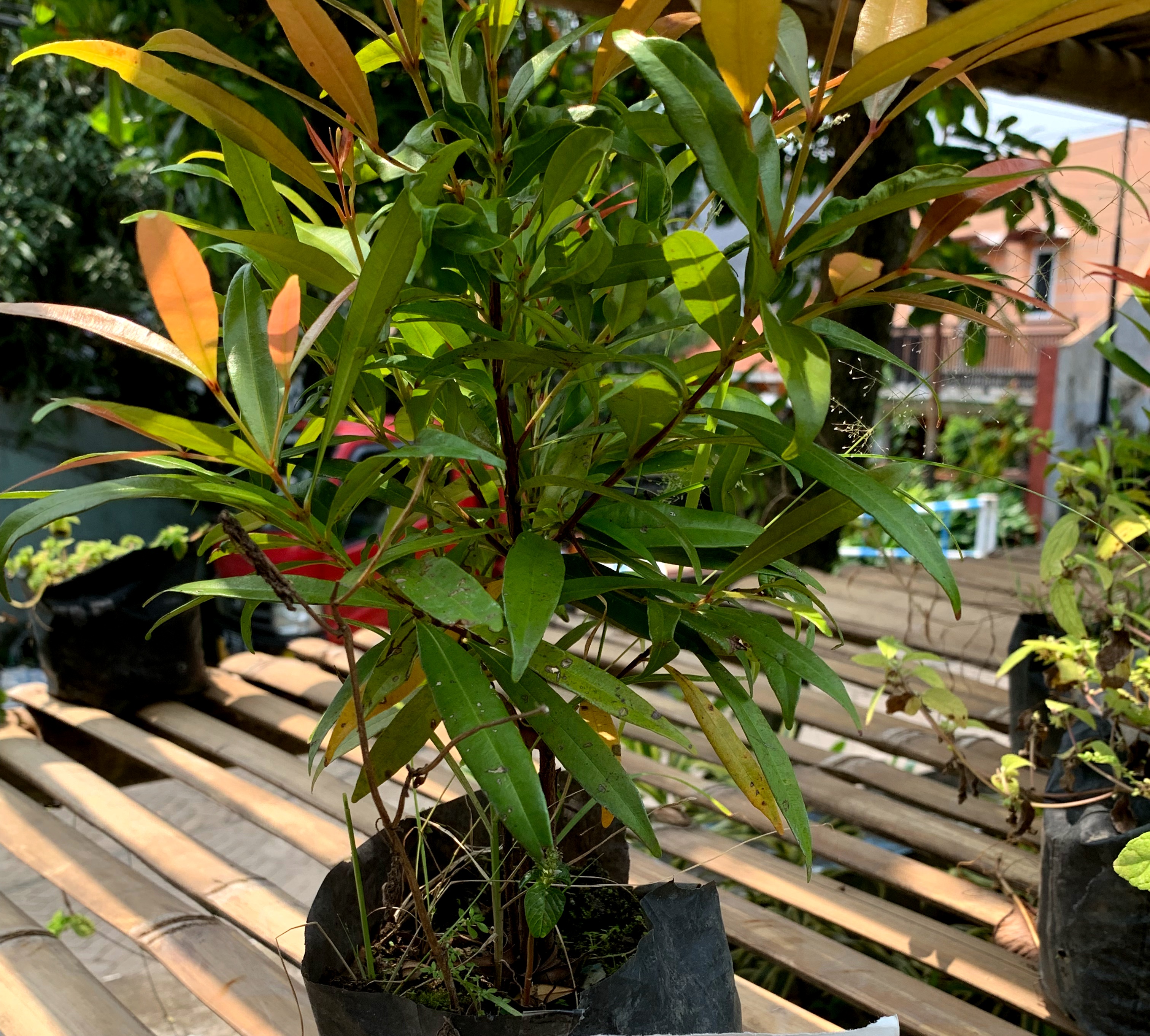 Korea Fans Tour gallery image 1